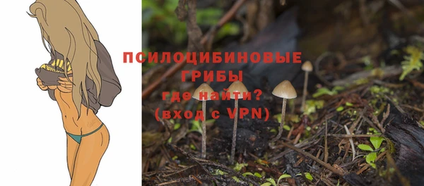 марки nbome Зерноград