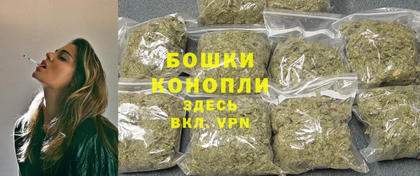 соль курить ск Заводоуковск