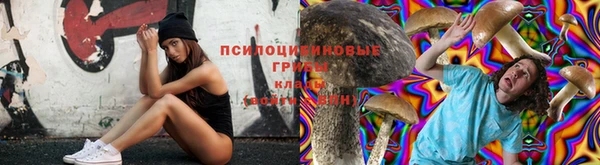 МДПВ Зеленодольск