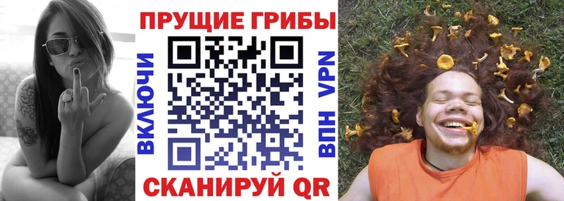 Псилоцибиновые грибы MAGIC MUSHROOMS  Купить закладки  Камышин 