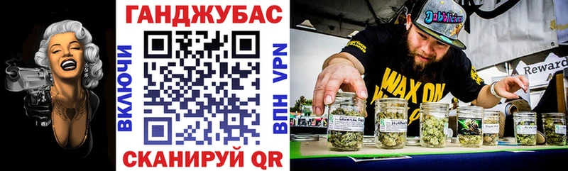 Купить  Камышин  Конопля индика 